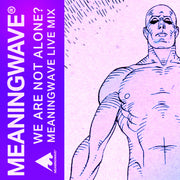 WE ARE NOT ALONE? 🌊👽🌊 Meaningwave Mix ft. Jordan Peterson, Terence McKenna, Alan Watts, Elon Musk