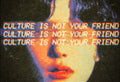 CULTURE IS NOT YOUR FRIEND with Terence McKenna | LYRICS