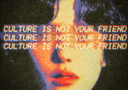 CULTURE IS NOT YOUR FRIEND with Terence McKenna