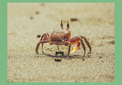 LET ME IN with Alan Watts & SCOTT ADAMS FOREVER