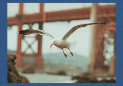 TO OBJECT TO THIS with Alan Watts