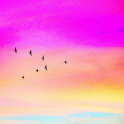 The Man And The Birds (ft. Paul Harvey)