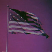 RAGGED OLD FLAG with Johnny Cash