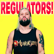 REGULATORS - MEANINGSTREAM 524 | STREAM