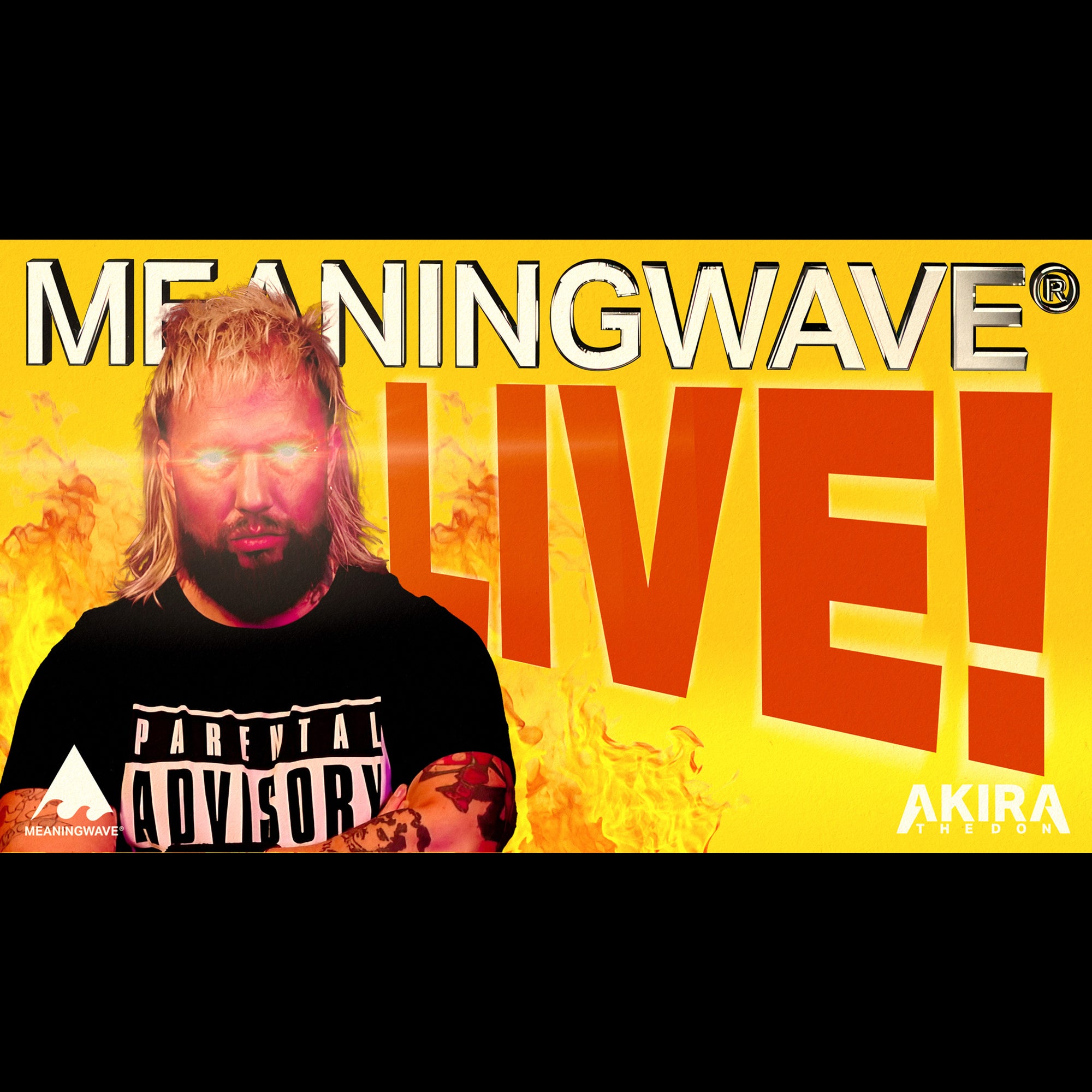 MEANINGWAVE LIVE! - MEANINGSTREAM 559 | STREAM