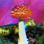 ALL TERENCE MCKENNA BUNDLE