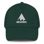 Meaningwave Dad hat | Choice of colors