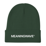 MEANINGWAVE | Knit Beanie